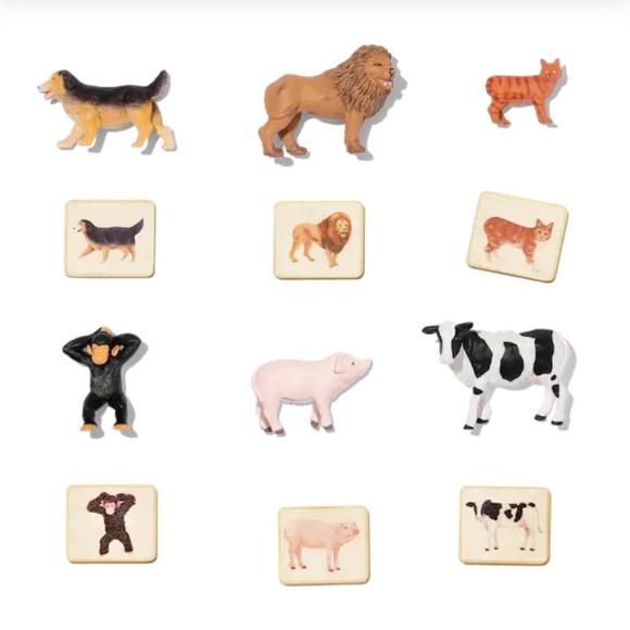 LOVEVERY Other - Lovevery Montessori Animal Match